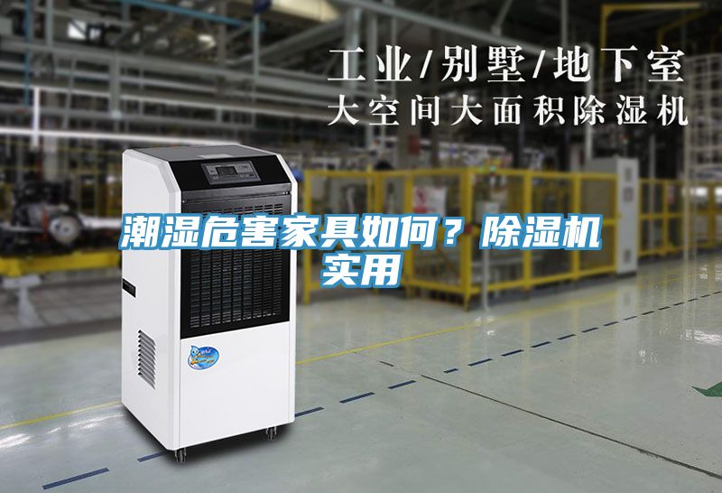 亚洲欧美一级特黄大片 潮湿危害家具如何？除湿机实用