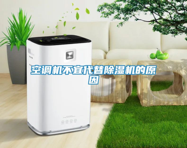 亚洲人成综合第一网站 空调机不宜代替除湿机的原因