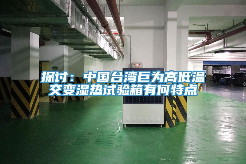 亚洲人成综合第一网站 探讨：中国台湾巨为高低温交变湿热试验箱有何特点