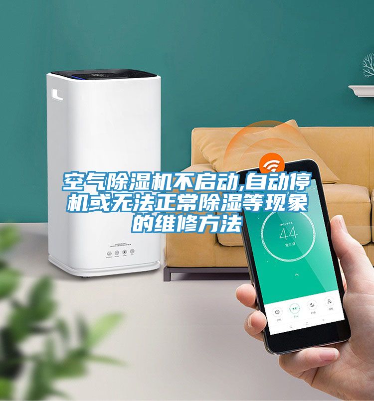 亚洲欧美一级特黄大片 空气除湿机不启动,自动停机或无法正常除湿等现象的维修方法