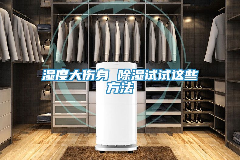 亚洲欧美一级特黄大片 湿度大伤身 除湿试试这些方法