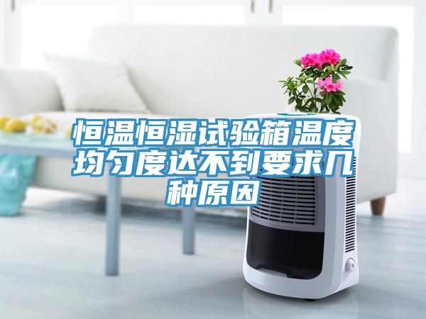 亚洲人成综合第一网站 恒温恒湿试验箱温度均匀度达不到要求几种原因