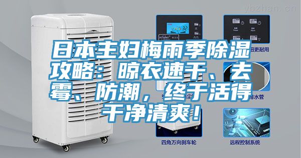 日本主妇梅雨季除湿攻略：晾衣速干、去霉、防潮，终于活得干净清爽！