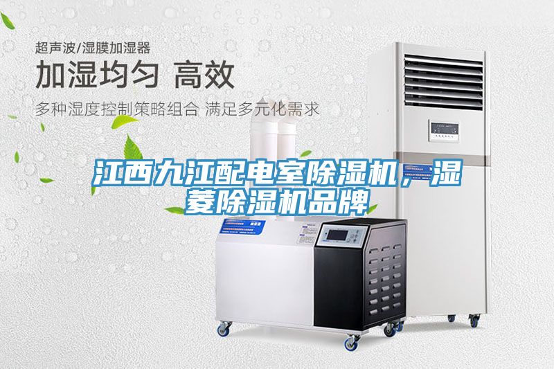 亚洲欧美一级特黄大片 江西九江配电室除湿机，湿菱除湿机品牌