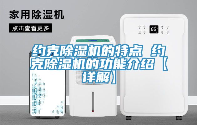 亚洲欧美一级特黄大片 约克除湿机的特点 约克除湿机的功能介绍【详解】