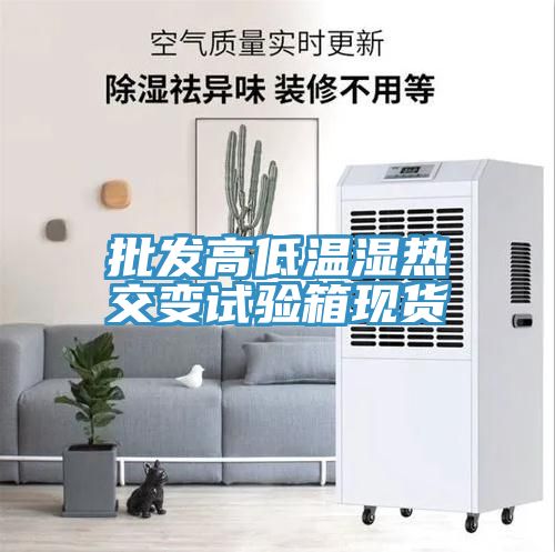 亚洲人成综合第一网站 批发高低温湿热交变试验箱现货