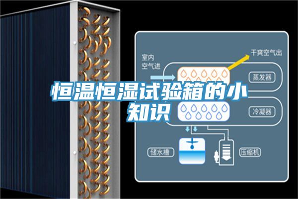 亚洲人成综合第一网站 恒温恒湿试验箱的小知识