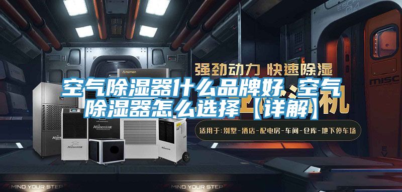 亚洲欧美一级特黄大片 空气除湿器什么品牌好 空气除湿器怎么选择【详解】