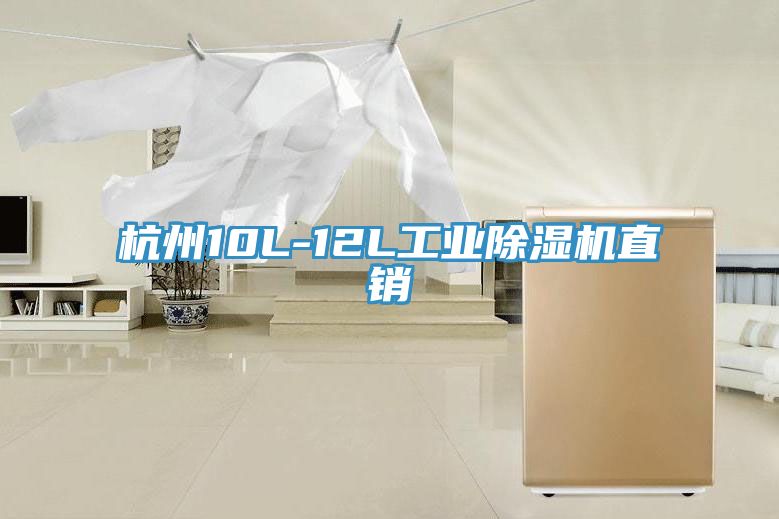 亚洲人成综合第一网站 杭州10L-12L工业除湿机直销