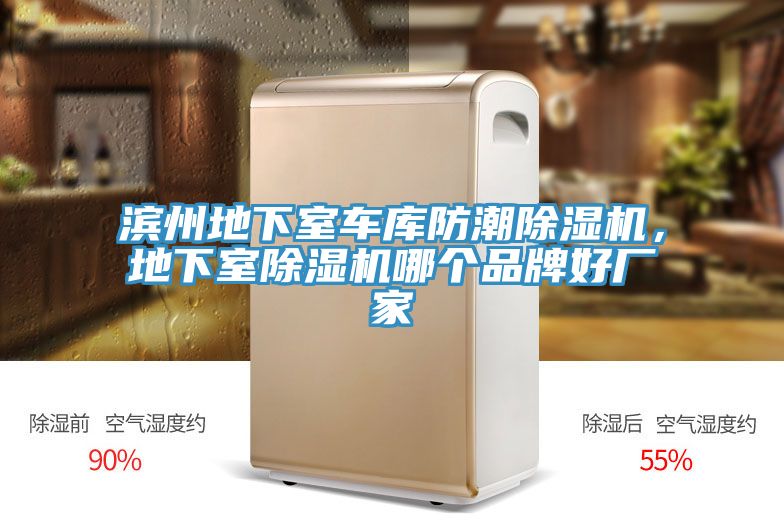亚洲欧美一级特黄大片 滨州地下室车库防潮除湿机，地下室除湿机哪个品牌好厂家