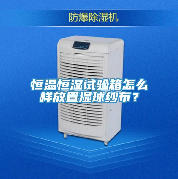 亚洲人成综合第一网站 恒温恒湿试验箱怎么样放置湿球纱布？