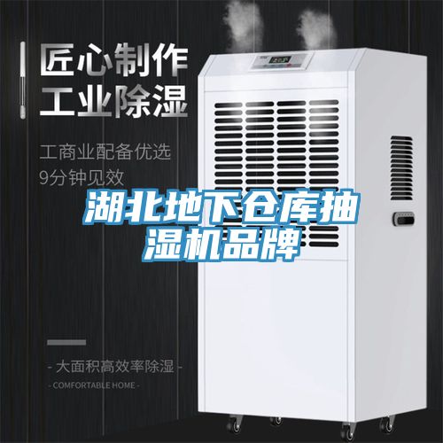 亚洲人成综合第一网站 湖北地下仓库抽湿机品牌