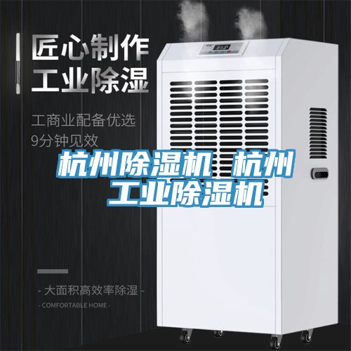 亚洲欧美一级特黄大片 杭州除湿机 杭州 工业除湿机