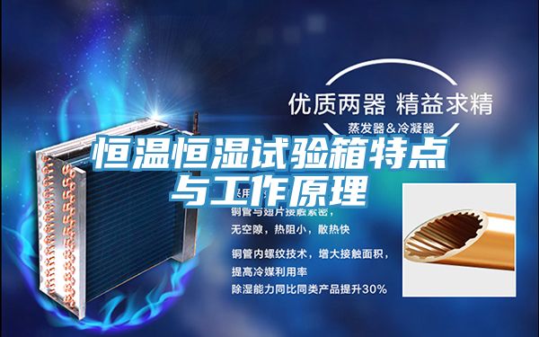 亚洲欧美一级特黄大片 恒温恒湿试验箱特点与工作原理