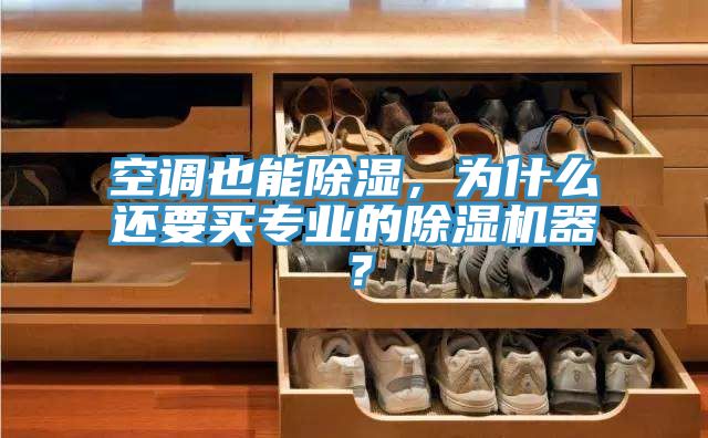 亚洲欧美一级特黄大片 空调也能除湿，为什么还要买专业的除湿机器？