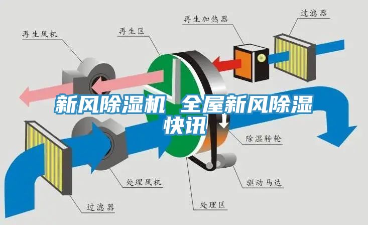 亚洲人成综合第一网站 新风除湿机 全屋新风除湿快讯