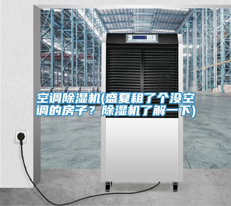 亚洲乱码一区二区三区 空调除湿机(盛夏租了个没空调的房子？除湿机了解一下)
