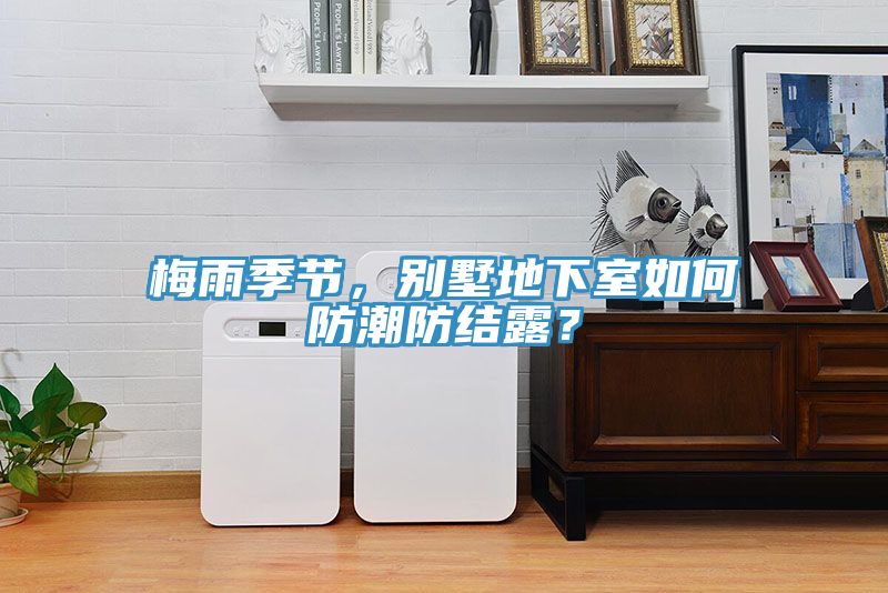 亚洲乱码一区二区三区 梅雨季节，别墅地下室如何防潮防结露？