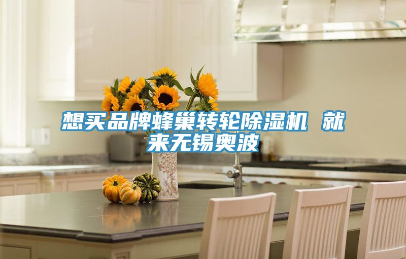 亚洲人成综合第一网站 想买品牌蜂巢转轮除湿机 就来无锡奥波