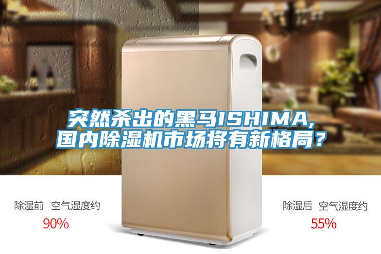 亚洲乱码一区二区三区 突然杀出的黑马ISHIMA,国内除湿机市场将有新格局？