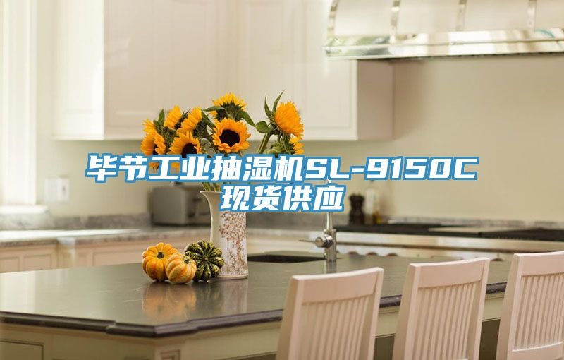 亚洲人成综合第一网站 毕节工业抽湿机SL-9150C现货供应