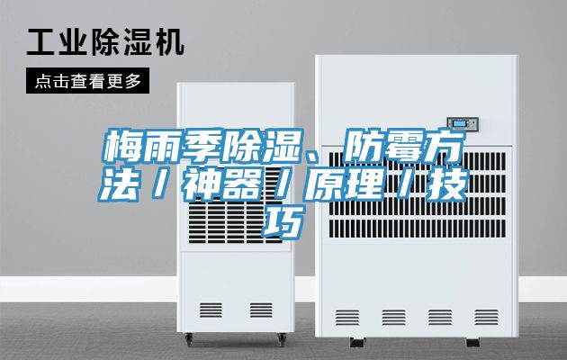 亚洲欧美一级特黄大片 梅雨季除湿、防霉方法／神器／原理／技巧