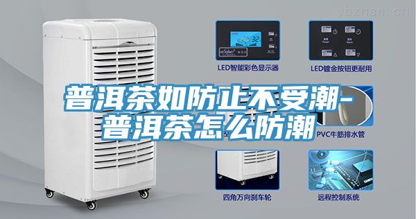 亚洲人成综合第一网站 普洱茶如防止不受潮-普洱茶怎么防潮