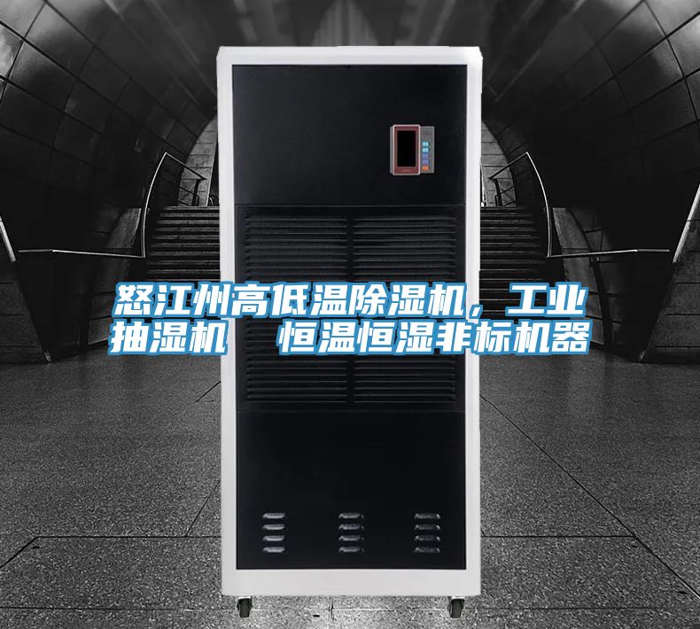 亚洲欧美一级特黄大片 怒江州高低温除湿机，工业抽湿机  恒温恒湿非标机器
