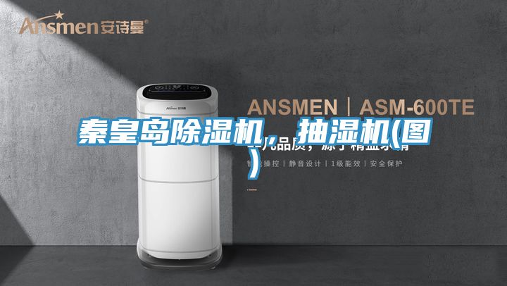 亚洲欧美一级特黄大片 秦皇岛除湿机，抽湿机(图)