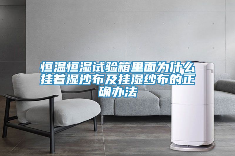 亚洲欧美一级特黄大片 恒温恒湿试验箱里面为什么挂着湿沙布及挂湿纱布的正确办法