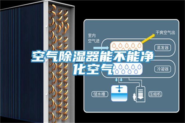亚洲人成综合第一网站 空气除湿器能不能净化空气