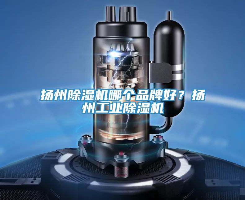 亚洲乱码一区二区三区 扬州除湿机哪个品牌好？扬州工业除湿机
