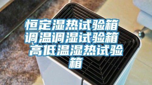 亚洲欧美一级特黄大片 恒定湿热试验箱 调温调湿试验箱 高低温湿热试验箱