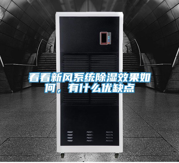 亚洲乱码一区二区三区 看看新风系统除湿效果如何，有什么优缺点