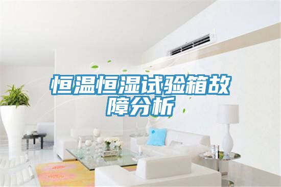亚洲人成综合第一网站 恒温恒湿试验箱故障分析