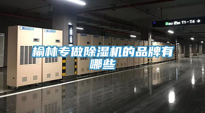 亚洲欧美一级特黄大片 榆林专做除湿机的品牌有哪些