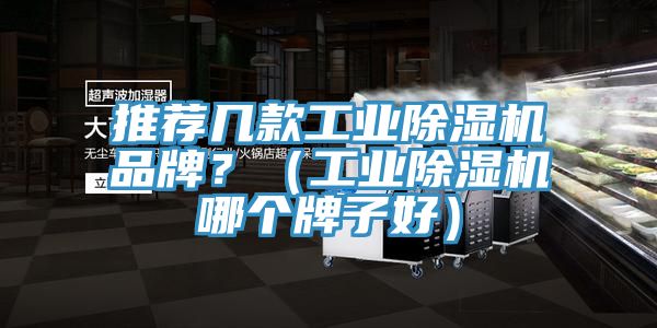 亚洲欧美一级特黄大片 推荐几款工业除湿机品牌？（工业除湿机哪个牌子好）