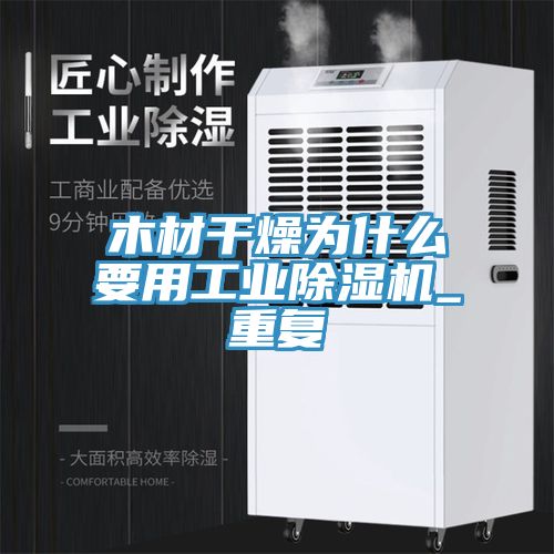 亚洲人成综合第一网站 木材干燥为什么要用工业除湿机_重复