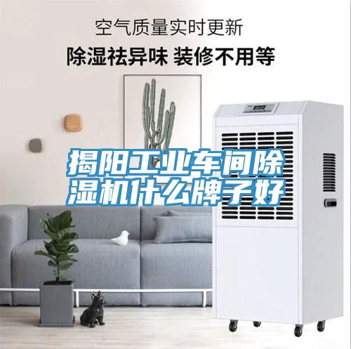 亚洲欧美一级特黄大片 揭阳工业车间除湿机什么牌子好