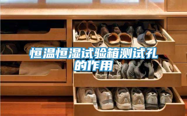 亚洲人成综合第一网站 恒温恒湿试验箱测试孔的作用