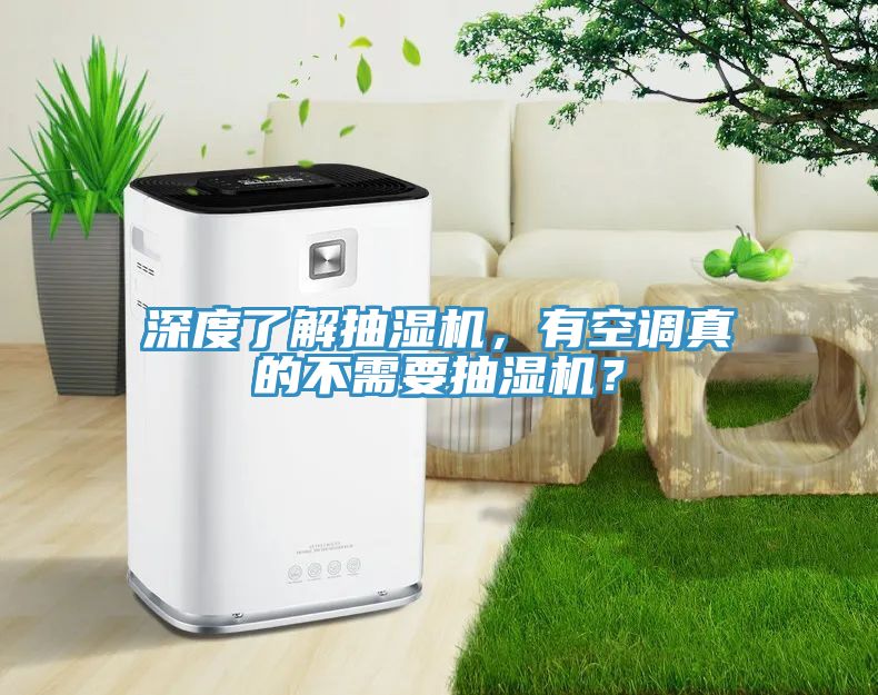 亚洲人成综合第一网站 深度了解抽湿机，有空调真的不需要抽湿机？
