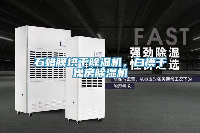 亚洲乱码一区二区三区 石蜡膜烘干除湿机，白模干燥房除湿机