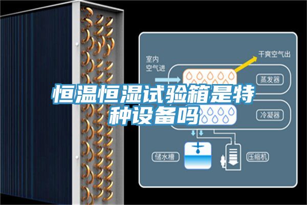 亚洲人成综合第一网站 恒温恒湿试验箱是特种设备吗