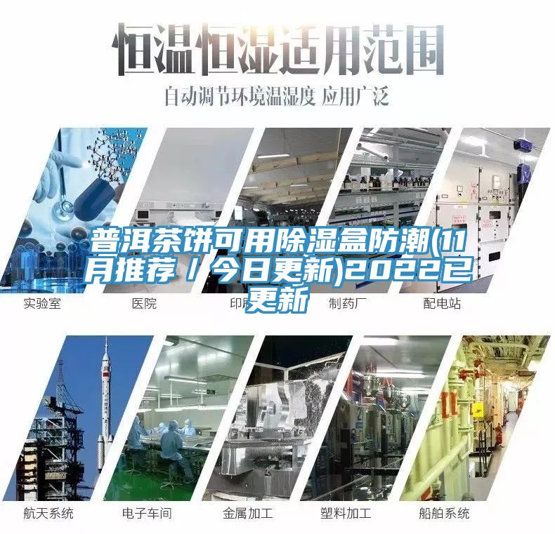 亚洲人成综合第一网站 普洱茶饼可用除湿盒防潮(11月推荐／今日更新)2022已更新