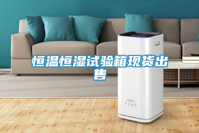 亚洲欧美一级特黄大片 恒温恒湿试验箱现货出售