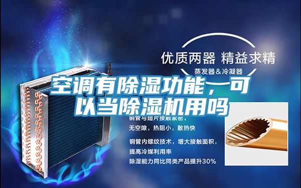 亚洲欧美一级特黄大片 空调有除湿功能，可以当除湿机用吗