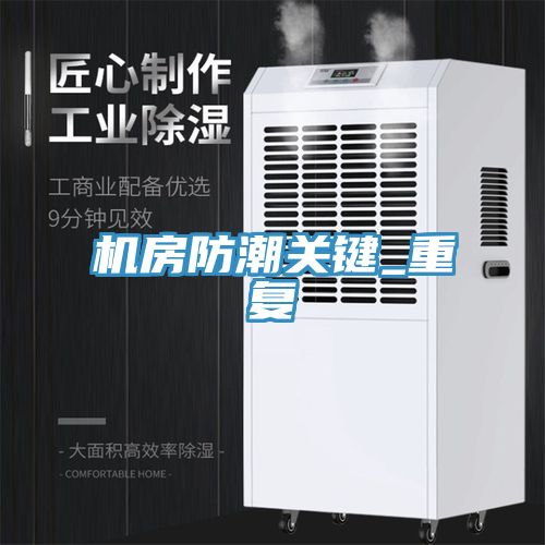 亚洲人成综合第一网站 机房防潮关键_重复