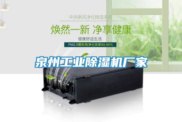 亚洲人成综合第一网站 泉州工业除湿机厂家