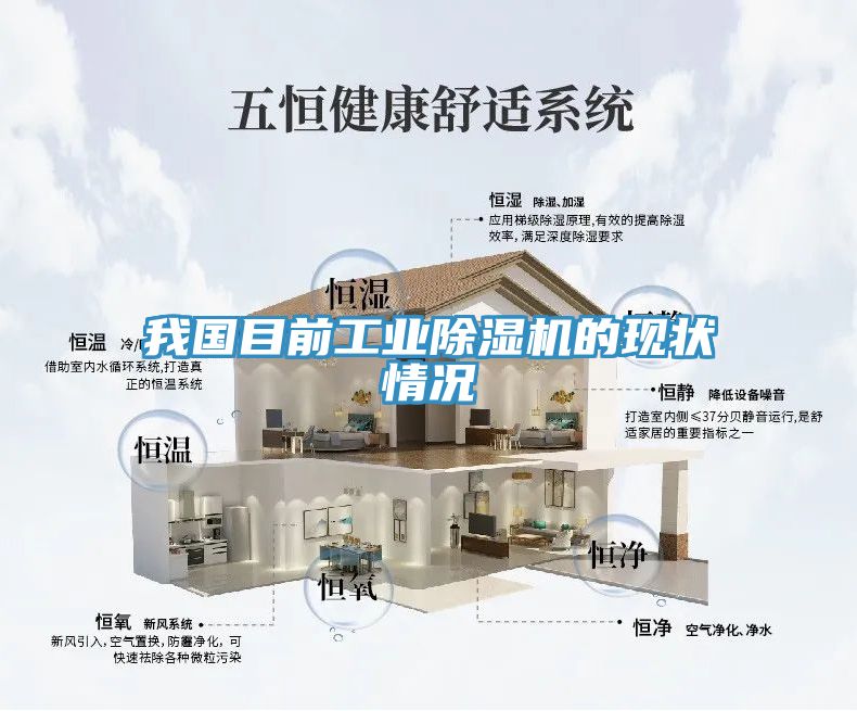 亚洲人成综合第一网站 我国目前工业除湿机的现状情况
