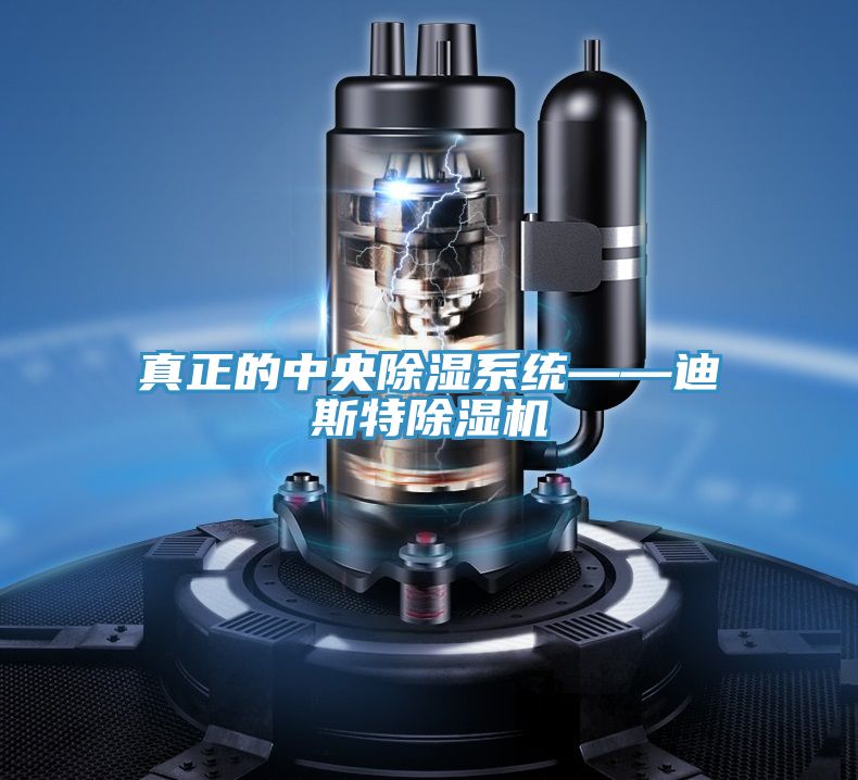亚洲人成综合第一网站 真正的中央除湿系统——迪斯特除湿机